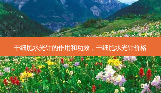 干细胞水光针的作用和功效,干细胞水光针价格-第1张图片-美呗严选网 干细胞水光针的作用和功效,干细胞水光针价格-第1张图片-美呗严选网