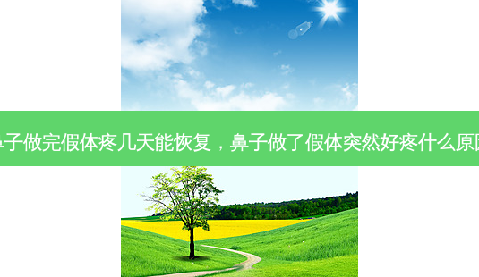 鼻子做完假体疼几天能恢复,鼻子做了假体突然好疼什么原因-第1张图片-美呗严选网 鼻子做完假体疼几天能恢复,鼻子做了假体突然好疼什么原因-第1张图片-美呗严选网