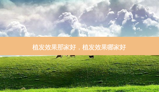 植发效果那家好,植发效果哪家好-第1张图片-美呗严选网 植发效果那家好,植发效果哪家好-第1张图片-美呗严选网