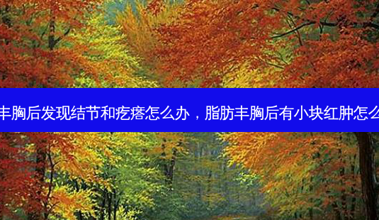 脂肪丰胸后发现结节和疙瘩怎么办,脂肪丰胸后有小块红肿怎么回事-第1张图片-美呗严选网 脂肪丰胸后发现结节和疙瘩怎么办,脂肪丰胸后有小块红肿怎么回事-第1张图片-美呗严选网