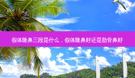 假体隆鼻三段是什么,假体隆鼻好还是肋骨鼻好-第1张图片-美呗严选网 假体隆鼻三段是什么,假体隆鼻好还是肋骨鼻好-第1张图片-美呗严选网