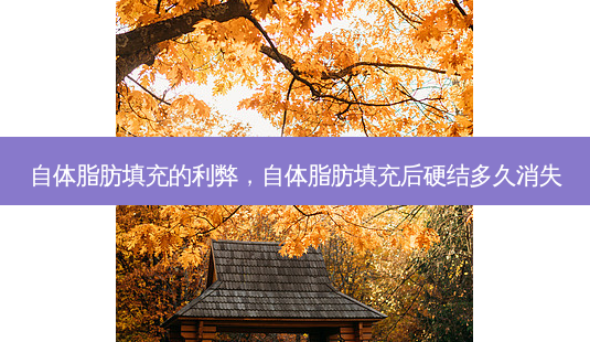 自体脂肪填充的利弊,自体脂肪填充后硬结多久消失-第1张图片-美呗严选网 自体脂肪填充的利弊,自体脂肪填充后硬结多久消失-第1张图片-美呗严选网