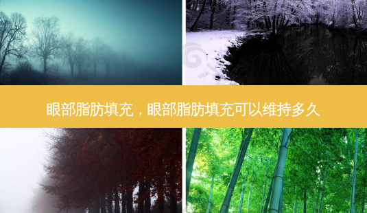 眼部脂肪填充,眼部脂肪填充可以维持多久-第1张图片-美呗严选网 眼部脂肪填充,眼部脂肪填充可以维持多久-第1张图片-美呗严选网