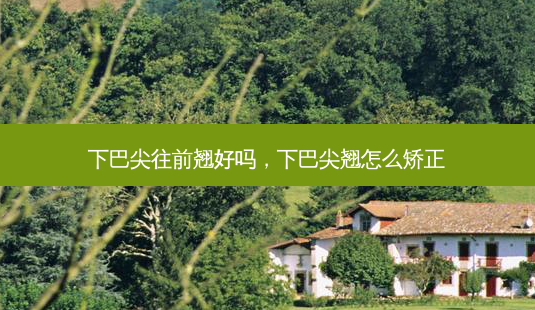 下巴尖往前翘好吗,下巴尖翘怎么矫正-第1张图片-美呗严选网 下巴尖往前翘好吗,下巴尖翘怎么矫正-第1张图片-美呗严选网