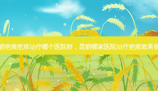 昆明疤痕疙瘩哪个医院好,昆明哪家医院疤痕效果很好-第1张图片-美呗严选网 昆明疤痕疙瘩哪个医院好,昆明哪家医院疤痕效果很好-第1张图片-美呗严选网