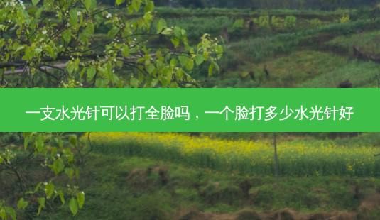 一支水光针可以打全脸吗,一个脸打多少水光针好-第1张图片-美呗严选网 一支水光针可以打全脸吗,一个脸打多少水光针好-第1张图片-美呗严选网