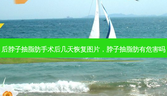 后脖子抽脂肪手术后几天恢复图片,脖子抽脂肪有危害吗-第1张图片-美呗严选网 后脖子抽脂肪手术后几天恢复图片,脖子抽脂肪有危害吗-第1张图片-美呗严选网