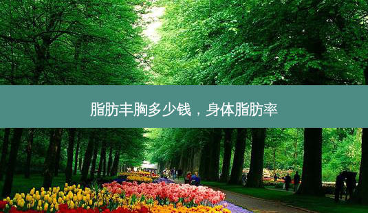 脂肪丰胸多少钱,身体脂肪率-第1张图片-美呗严选网 脂肪丰胸多少钱,身体脂肪率-第1张图片-美呗严选网