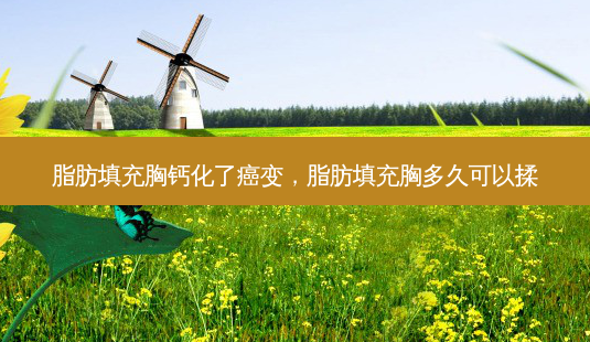 脂肪填充胸钙化了癌变,脂肪填充胸多久可以揉-第1张图片-美呗严选网 脂肪填充胸钙化了癌变,脂肪填充胸多久可以揉-第1张图片-美呗严选网
