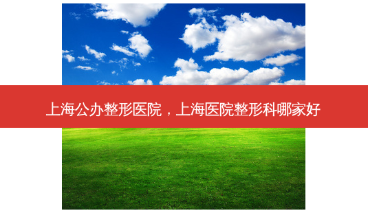 上海公办整形医院,上海医院整形科哪家好-第1张图片-美呗严选网 上海公办整形医院,上海医院整形科哪家好-第1张图片-美呗严选网