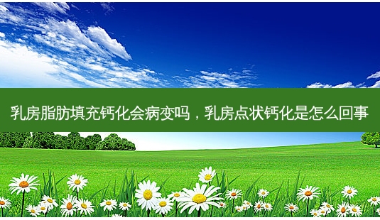 *** 脂肪填充钙化会病变吗, *** 点状钙化是怎么回事-第1张图片-美呗严选网 *** 脂肪填充钙化会病变吗, *** 点状钙化是怎么回事-第1张图片-美呗严选网