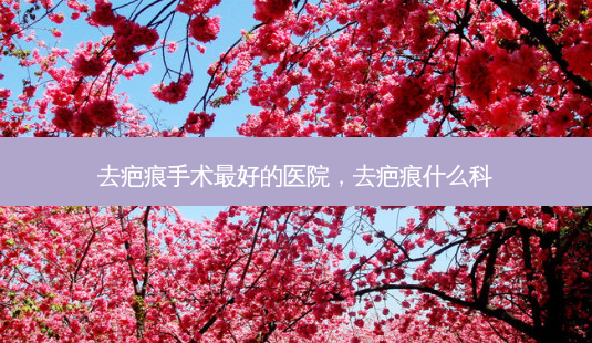 去疤痕手术好的医院,去疤痕什么科-第1张图片-美呗严选网 去疤痕手术好的医院,去疤痕什么科-第1张图片-美呗严选网