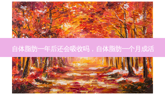 自体脂肪一年后还会吸收吗,自体脂肪一个月成活-第1张图片-美呗严选网 自体脂肪一年后还会吸收吗,自体脂肪一个月成活-第1张图片-美呗严选网