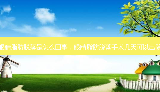 眼睛脂肪脱落是怎么回事,眼睛脂肪脱落手术几天可以出院-第1张图片-美呗严选网 眼睛脂肪脱落是怎么回事,眼睛脂肪脱落手术几天可以出院-第1张图片-美呗严选网