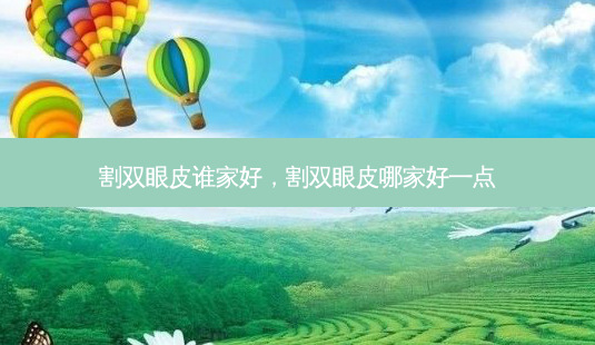 割双眼皮谁家好,割双眼皮哪家好一点-第1张图片-美呗严选网 割双眼皮谁家好,割双眼皮哪家好一点-第1张图片-美呗严选网
