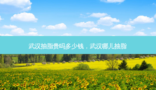 武汉抽脂贵吗多少钱,武汉哪儿抽脂-第1张图片-美呗严选网 武汉抽脂贵吗多少钱,武汉哪儿抽脂-第1张图片-美呗严选网