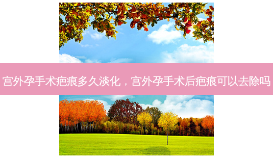 宫外孕手术疤痕多久淡化,宫外孕手术后疤痕可以去除吗-第1张图片-美呗严选网 宫外孕手术疤痕多久淡化,宫外孕手术后疤痕可以去除吗-第1张图片-美呗严选网