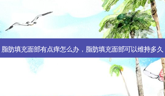 脂肪填充面部有点痒怎么办,脂肪填充面部可以维持多久-第1张图片-美呗严选网 脂肪填充面部有点痒怎么办,脂肪填充面部可以维持多久-第1张图片-美呗严选网