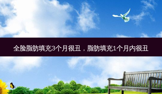 全脸脂肪填充3个月很丑,脂肪填充1个月内很丑-第1张图片-美呗严选网 全脸脂肪填充3个月很丑,脂肪填充1个月内很丑-第1张图片-美呗严选网