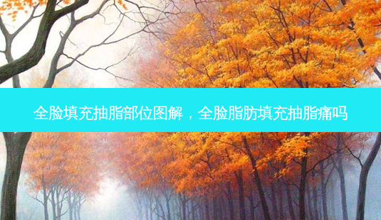 全脸填充抽脂部位图解,全脸脂肪填充抽脂痛吗-第1张图片-美呗严选网 全脸填充抽脂部位图解,全脸脂肪填充抽脂痛吗-第1张图片-美呗严选网