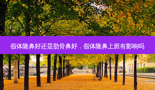 假体隆鼻好还是肋骨鼻好,假体隆鼻上班有影响吗-第1张图片-美呗严选网 假体隆鼻好还是肋骨鼻好,假体隆鼻上班有影响吗-第1张图片-美呗严选网
