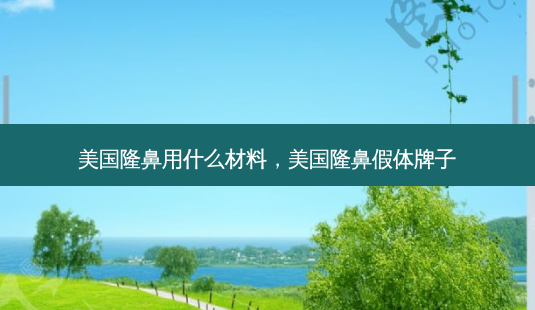 美国隆鼻用什么材料,美国隆鼻假体牌子-第1张图片-美呗严选网 美国隆鼻用什么材料,美国隆鼻假体牌子-第1张图片-美呗严选网