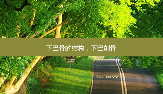下巴骨的结构,下巴削骨-第1张图片-美呗严选网 下巴骨的结构,下巴削骨-第1张图片-美呗严选网