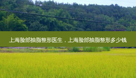 上海脸部抽脂整形医生,上海脸部抽脂整形多少钱-第1张图片-美呗严选网 上海脸部抽脂整形医生,上海脸部抽脂整形多少钱-第1张图片-美呗严选网