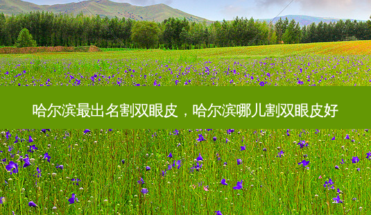 哈尔滨出名割双眼皮,哈尔滨哪儿割双眼皮好-第1张图片-美呗严选网 哈尔滨出名割双眼皮,哈尔滨哪儿割双眼皮好-第1张图片-美呗严选网