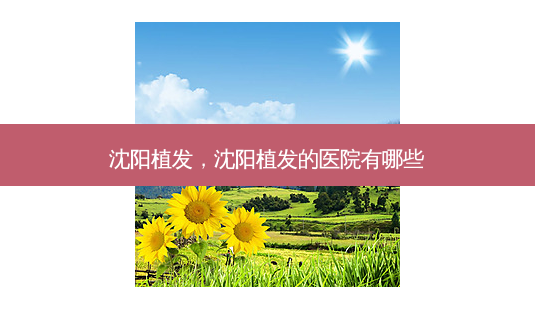 沈阳植发,沈阳植发的医院有哪些-第1张图片-美呗严选网 沈阳植发,沈阳植发的医院有哪些-第1张图片-美呗严选网