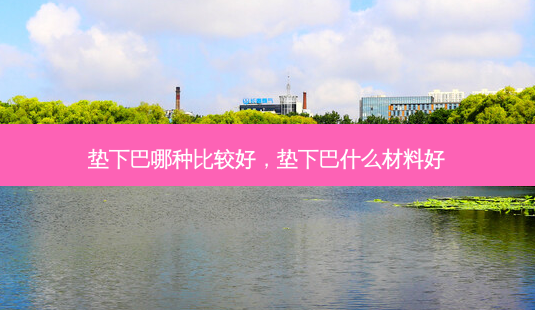垫下巴哪种比较好,垫下巴什么材料好-第1张图片-美呗严选网 垫下巴哪种比较好,垫下巴什么材料好-第1张图片-美呗严选网