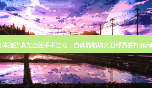 自体脂肪填充全脸手术过程,自体脂肪填充面部需要打麻药吗-第1张图片-美呗严选网 自体脂肪填充全脸手术过程,自体脂肪填充面部需要打麻药吗-第1张图片-美呗严选网