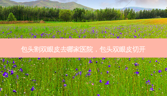 包头割双眼皮去哪家医院,包头双眼皮切开-第1张图片-美呗严选网 包头割双眼皮去哪家医院,包头双眼皮切开-第1张图片-美呗严选网