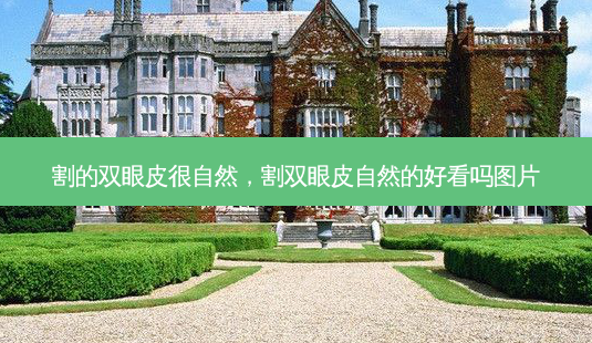 割的双眼皮很自然,割双眼皮自然的好看吗图片-第1张图片-美呗严选网 割的双眼皮很自然,割双眼皮自然的好看吗图片-第1张图片-美呗严选网