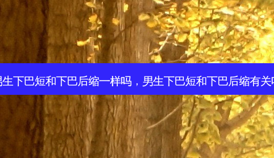 男生下巴短和下巴后缩一样吗,男生下巴短和下巴后缩有关吗-第1张图片-美呗严选网 男生下巴短和下巴后缩一样吗,男生下巴短和下巴后缩有关吗-第1张图片-美呗严选网
