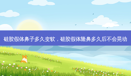 硅胶假体鼻子多久变软,硅胶假体隆鼻多久后不会晃动-第1张图片-美呗严选网 硅胶假体鼻子多久变软,硅胶假体隆鼻多久后不会晃动-第1张图片-美呗严选网