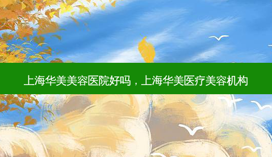 上海华美美容医院好吗,上海华美医疗美容机构-第1张图片-美呗严选网 上海华美美容医院好吗,上海华美医疗美容机构-第1张图片-美呗严选网