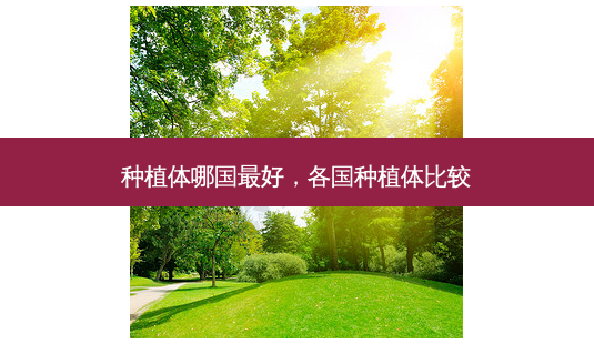 种植体哪国好,各国种植体比较-第1张图片-美呗严选网 种植体哪国好,各国种植体比较-第1张图片-美呗严选网