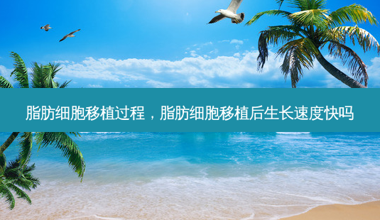 脂肪细胞移植过程,脂肪细胞移植后生长速度快吗-第1张图片-美呗严选网 脂肪细胞移植过程,脂肪细胞移植后生长速度快吗-第1张图片-美呗严选网