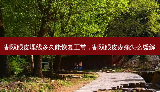 割双眼皮埋线多久能恢复正常,割双眼皮疼痛怎么缓解-第1张图片-美呗严选网 割双眼皮埋线多久能恢复正常,割双眼皮疼痛怎么缓解-第1张图片-美呗严选网
