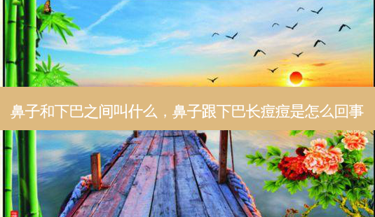 鼻子和下巴之间叫什么,鼻子跟下巴长痘痘是怎么回事-第1张图片-美呗严选网 鼻子和下巴之间叫什么,鼻子跟下巴长痘痘是怎么回事-第1张图片-美呗严选网