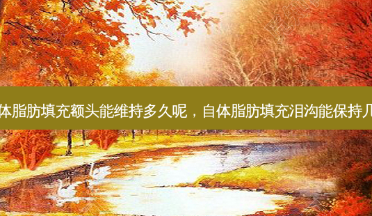 自体脂肪填充额头能维持多久呢,自体脂肪填充泪沟能保持几年-第1张图片-美呗严选网 自体脂肪填充额头能维持多久呢,自体脂肪填充泪沟能保持几年-第1张图片-美呗严选网