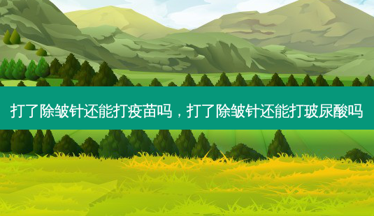打了除皱针还能打疫苗吗,打了除皱针还能打玻尿酸吗-第1张图片-美呗严选网 打了除皱针还能打疫苗吗,打了除皱针还能打玻尿酸吗-第1张图片-美呗严选网