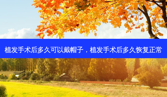 植发手术后多久可以戴帽子,植发手术后多久恢复正常-第1张图片-美呗严选网 植发手术后多久可以戴帽子,植发手术后多久恢复正常-第1张图片-美呗严选网
