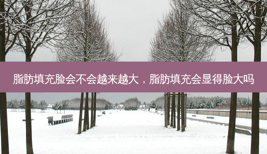 脂肪填充脸会不会越来越大,脂肪填充会显得脸大吗-第1张图片-美呗严选网 脂肪填充脸会不会越来越大,脂肪填充会显得脸大吗-第1张图片-美呗严选网