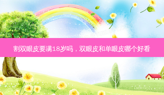 割双眼皮要满18岁吗,双眼皮和单眼皮哪个好看-第1张图片-美呗严选网 割双眼皮要满18岁吗,双眼皮和单眼皮哪个好看-第1张图片-美呗严选网