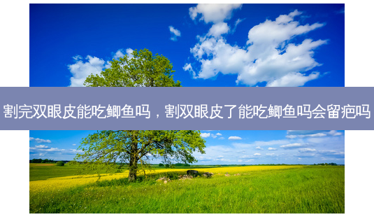 割完双眼皮能吃鲫鱼吗,割双眼皮了能吃鲫鱼吗会留疤吗-第1张图片-美呗严选网 割完双眼皮能吃鲫鱼吗,割双眼皮了能吃鲫鱼吗会留疤吗-第1张图片-美呗严选网