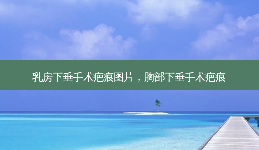 *** 下垂手术疤痕图片,胸部下垂手术疤痕-第1张图片-美呗严选网 *** 下垂手术疤痕图片,胸部下垂手术疤痕-第1张图片-美呗严选网