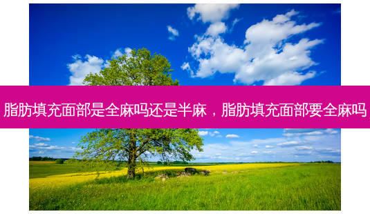 脂肪填充面部是全麻吗还是半麻,脂肪填充面部要全麻吗-第1张图片-美呗严选网 脂肪填充面部是全麻吗还是半麻,脂肪填充面部要全麻吗-第1张图片-美呗严选网
