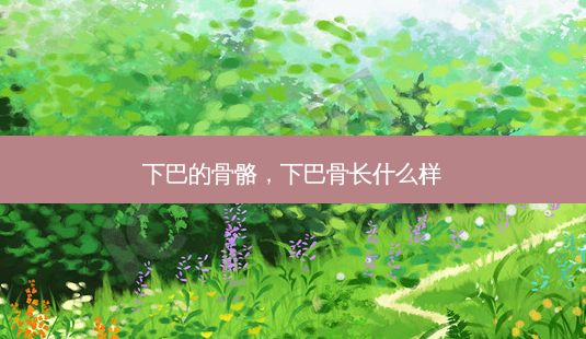 下巴的骨骼,下巴骨长什么样-第1张图片-美呗严选网 下巴的骨骼,下巴骨长什么样-第1张图片-美呗严选网